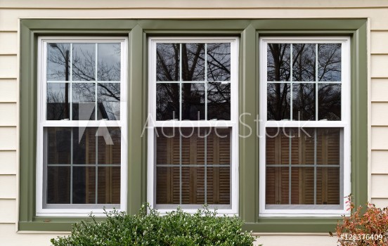 Picture of New white with green trim vinyl replacement windows Horizontal